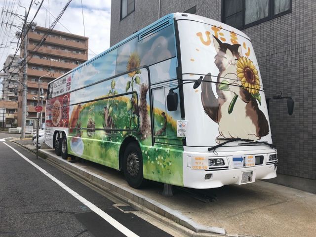 猫カフェ 二階建てバスの中で可愛い猫ちゃんたちがお出迎え ソフトドリンク飲み放題 60分 保護猫カフェ ひだまり号 じゃらん遊び体験 猫カフェ 二階建てバスの中で可愛い猫ちゃんたちがお出迎え ソフトドリンク飲み放題 60分 保護猫カフェ ひだまり号 じゃらん遊び体験