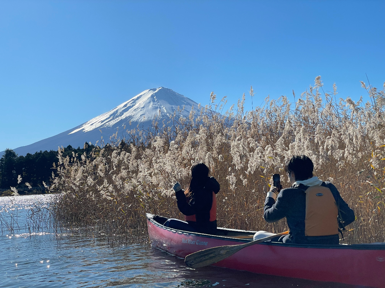 ~ły߂EGȂJifBAJk[̌