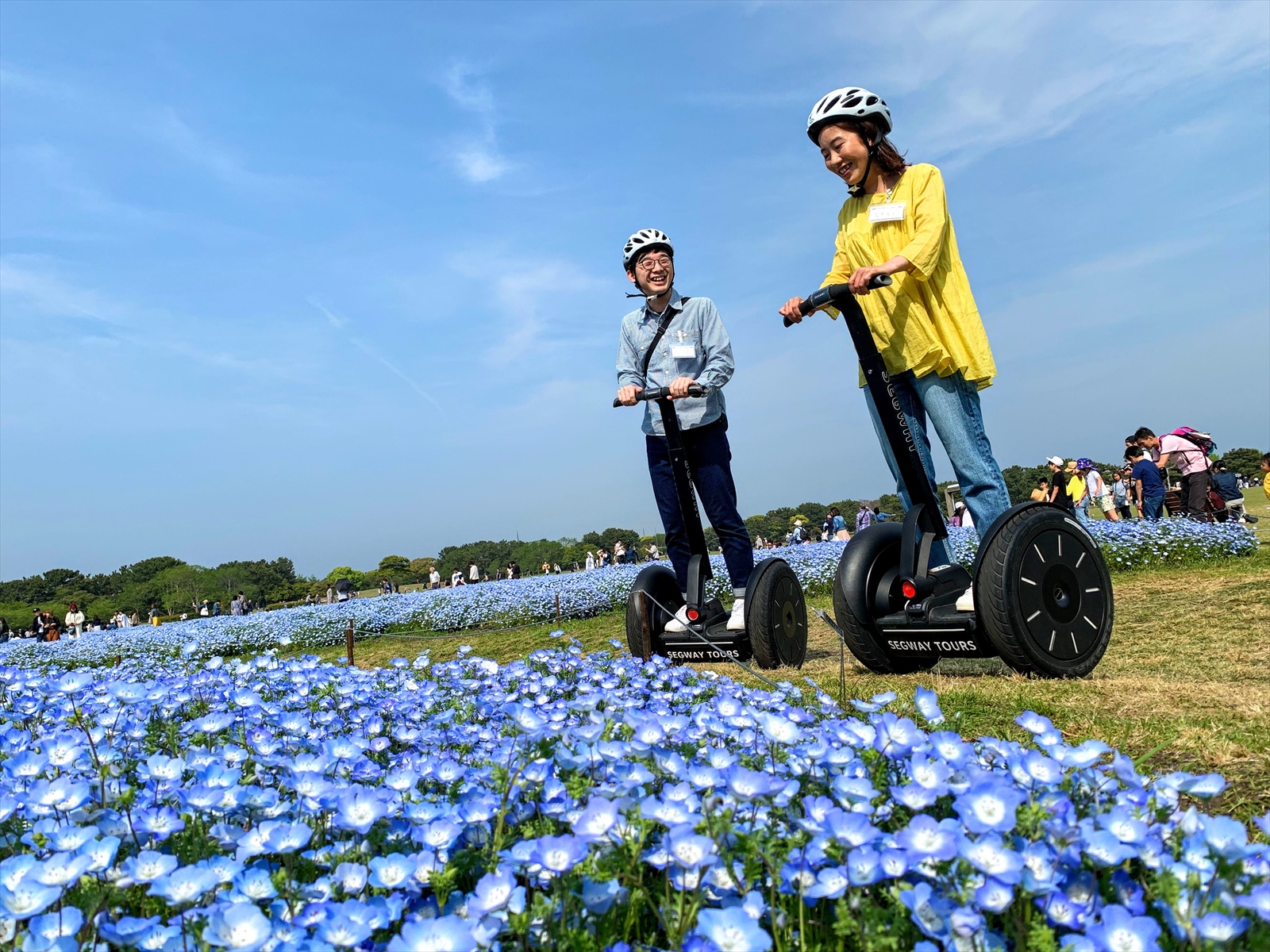 四季折々の花々を楽しめます!