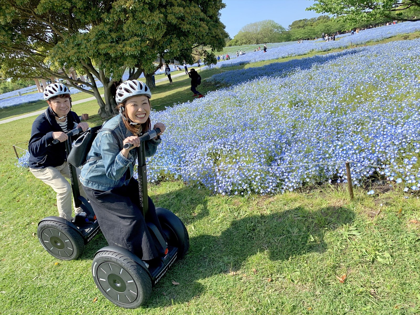 四季折々の花々を楽しめます!