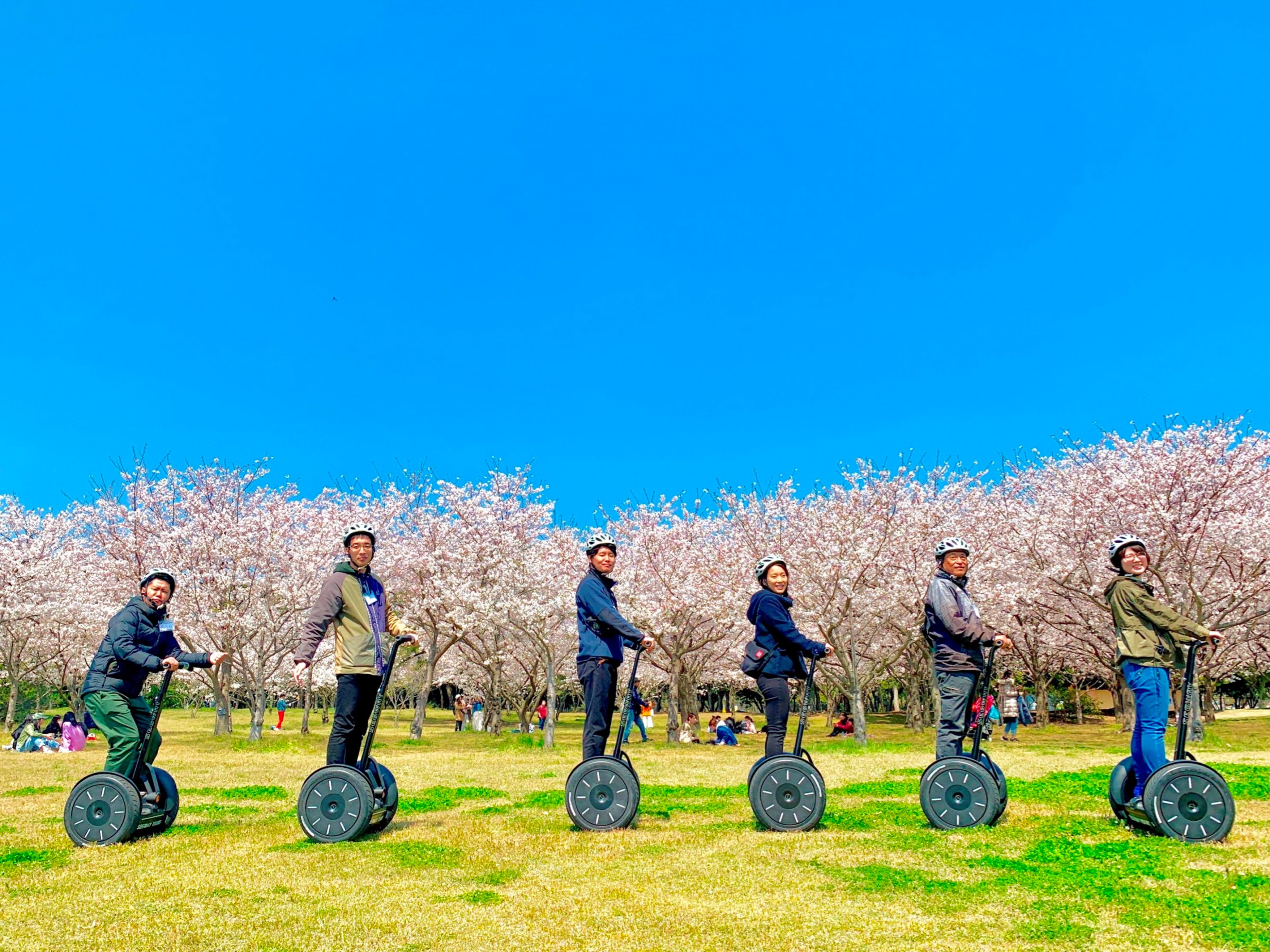 季節ごとに見どころをガイドします!