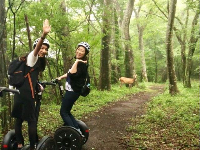 運がよければ森の動物たちに出会えるかもしれません。