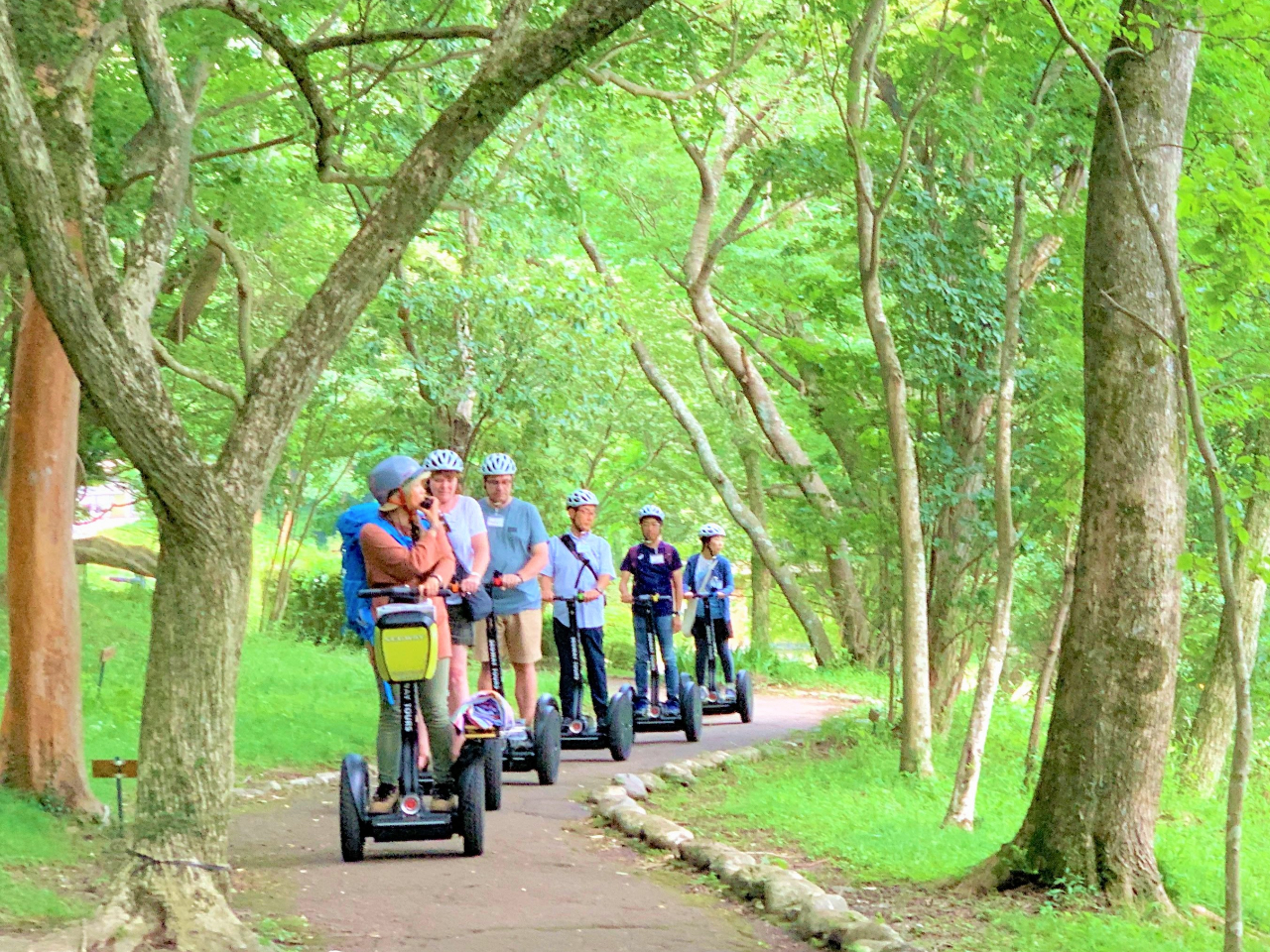 RLȋ㓪̐XZOEFCŏ낤I