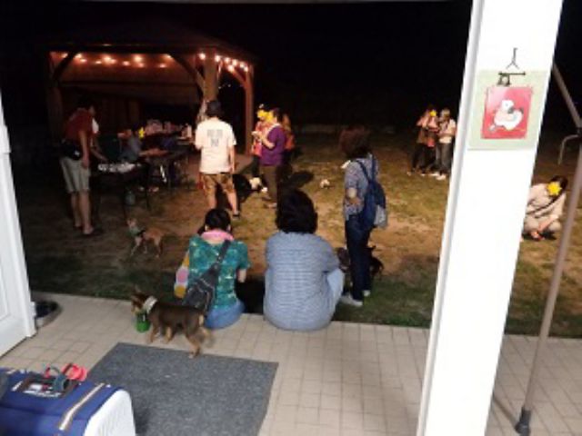 平日 緑豊かなドッグラン利用 3時間利用 完全貸切予約制 飲食持込みok ファミリーやグループ利用がお得 ペットホテル ドッグラン Cocona じゃらん遊び体験