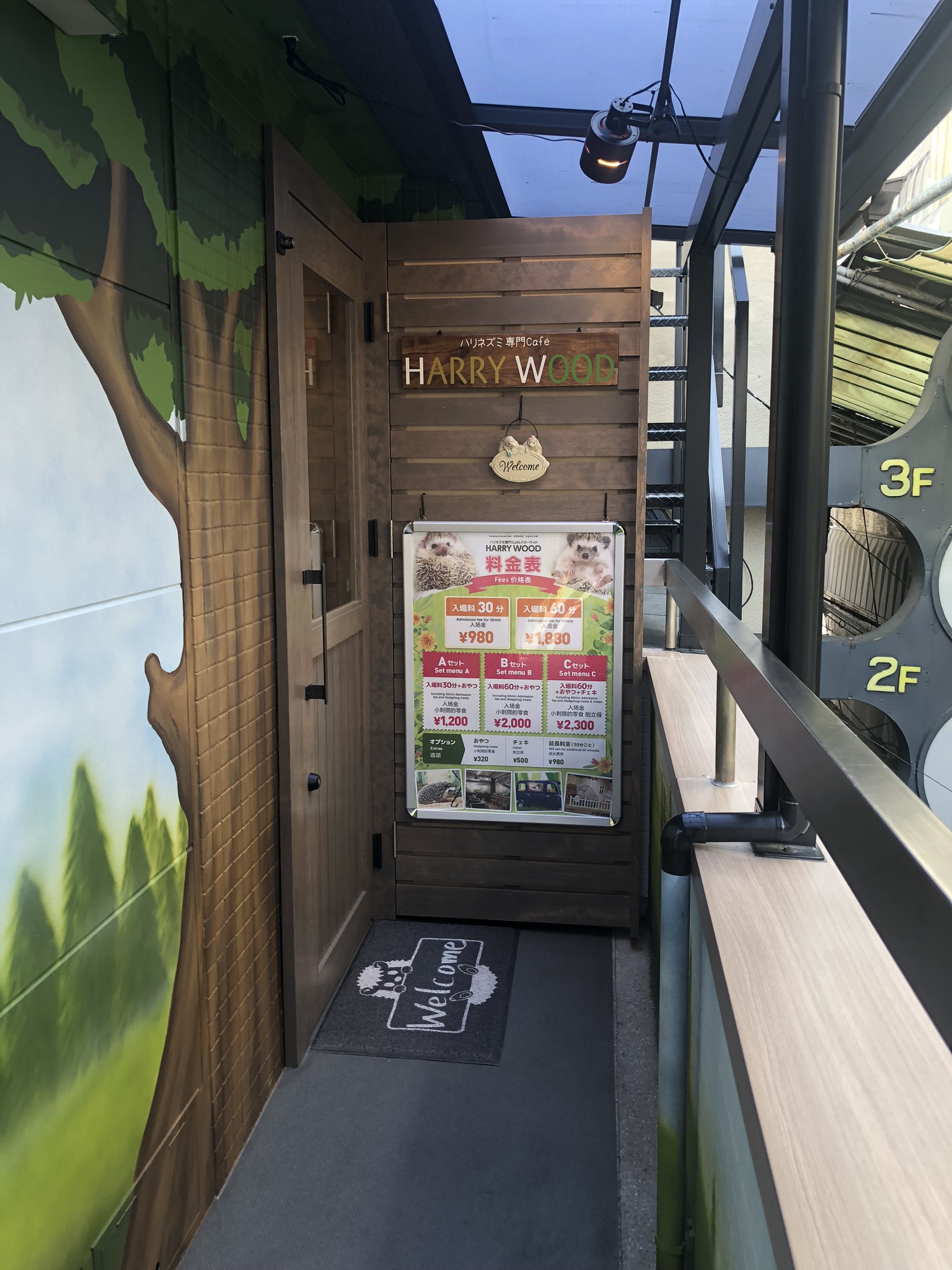 �����̊O�ςł��B