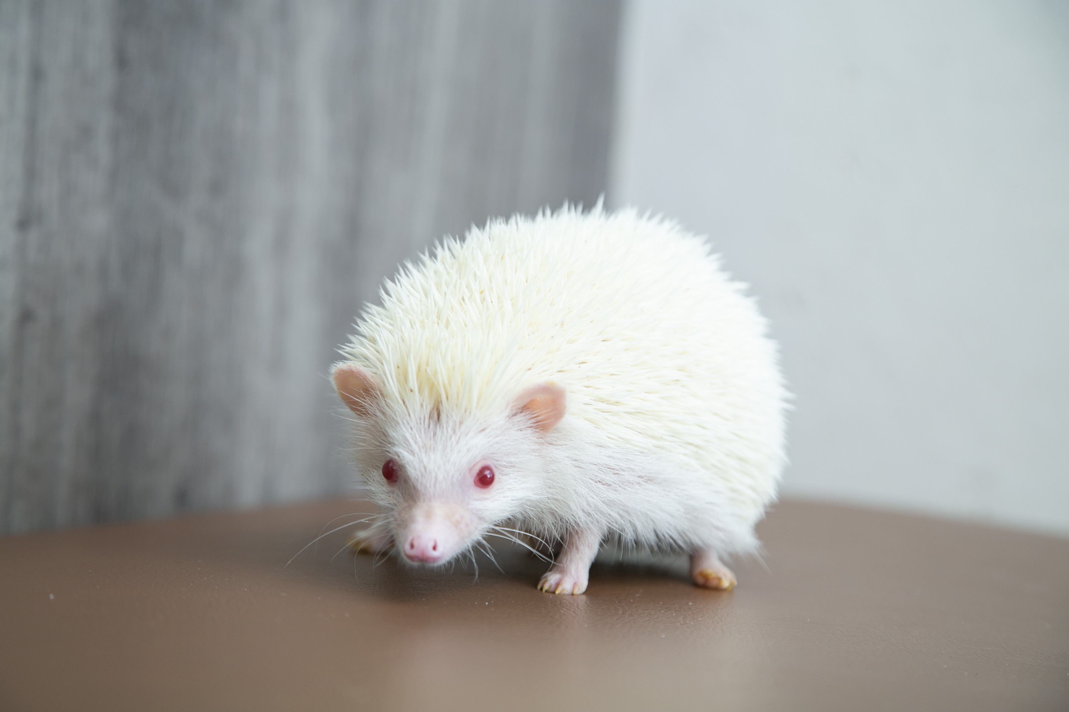 nlY~ƂGꍇĂBX^bt̐ڋqɂM܂BnlY~ɂĉłĂB