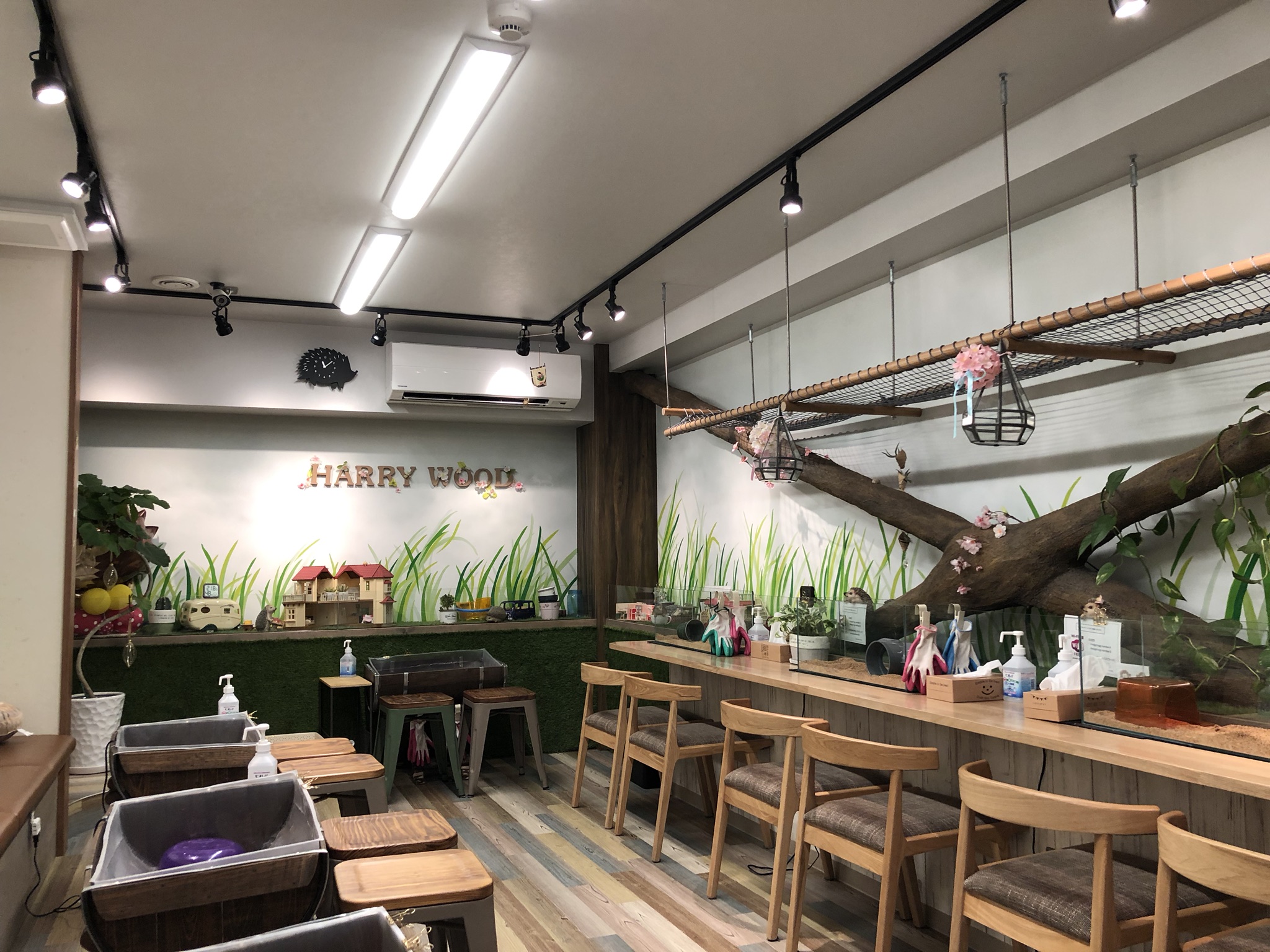 店内の感じです。癒される空間を意識しています。