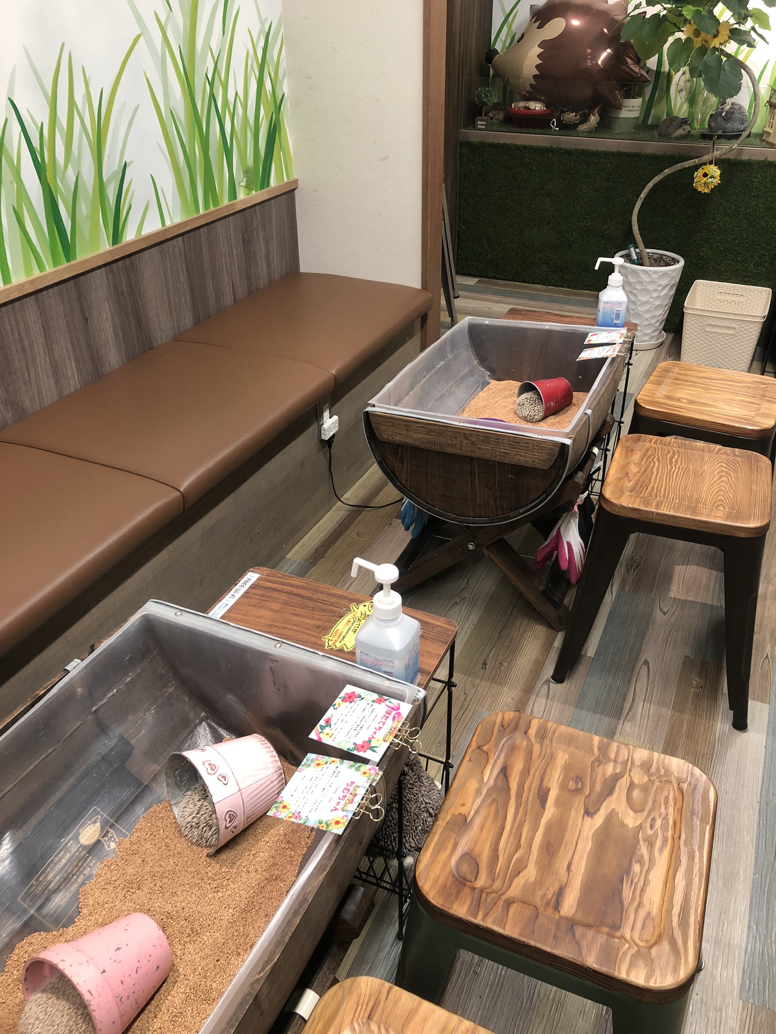 ソファー席です。ゆったりしていただけます。