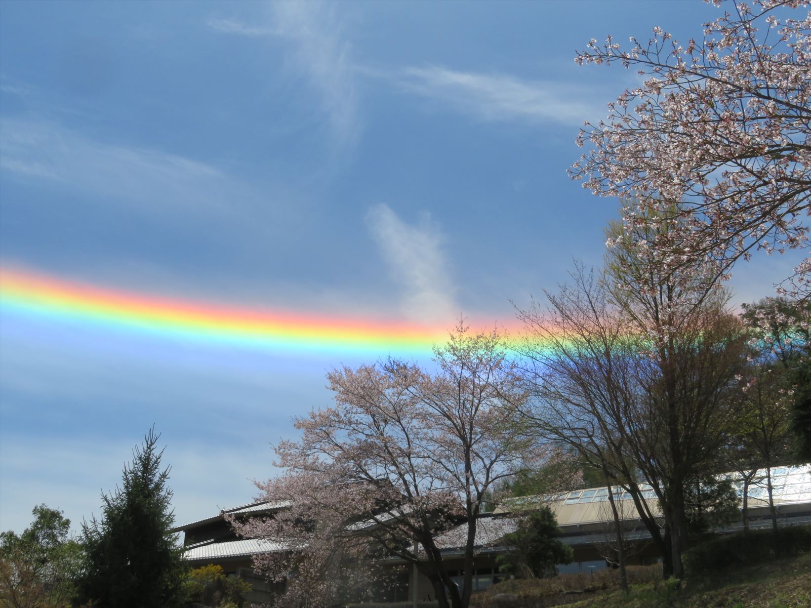 A[N̎ʐ^̓tWerɂo܂B