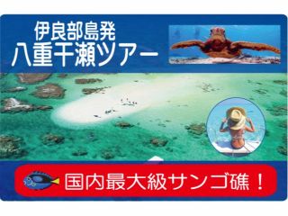 ゆうむつ船長オススメ!!