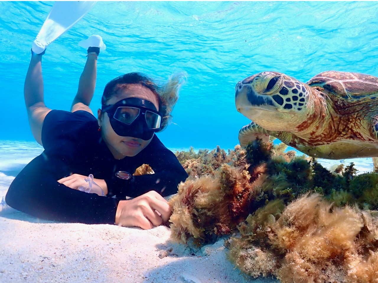 島人ガイドがご案内】八重干瀬でウミガメと泳ぐシュノーケルツアー