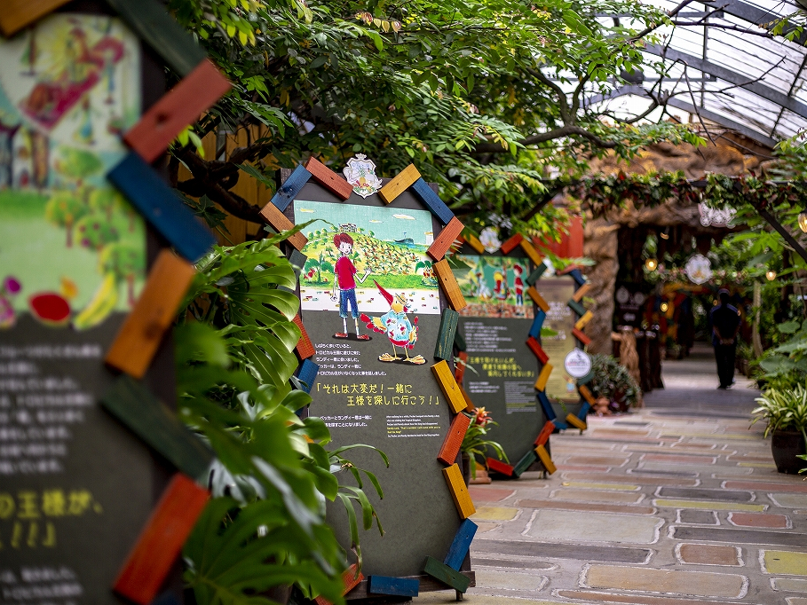 �w�g���s�J����������x�X�^�[�g�I