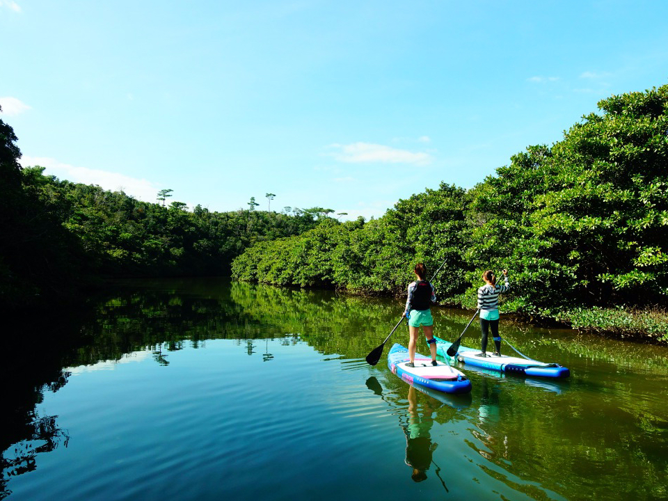 Vm[PȊOɂ18̃cA[̒炨DȃcA[Iő̌ły}O[uSUPcA[z