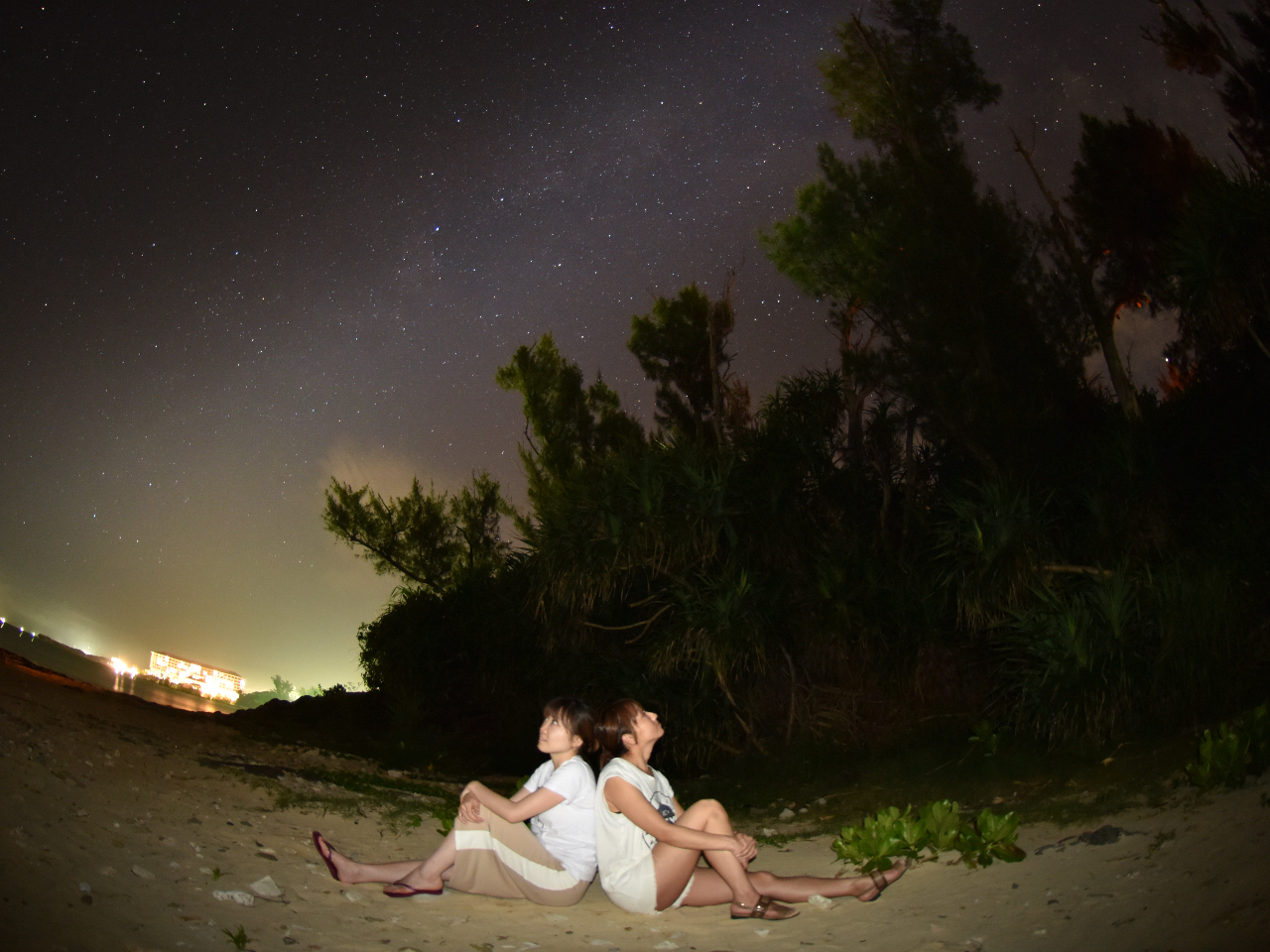 Vm[PȊOɂ18̃cA[̒炨DȃcA[Iő̌łyώ@&BecA[z