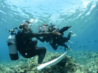 沖縄の海といえば…ダイビング!初めての方でも気軽にできる体験ダイビング♪
