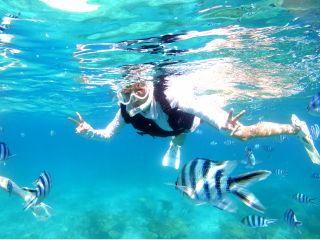 手軽に沖縄の海を満喫♪シュノーケルでお魚とふれ合おう!!