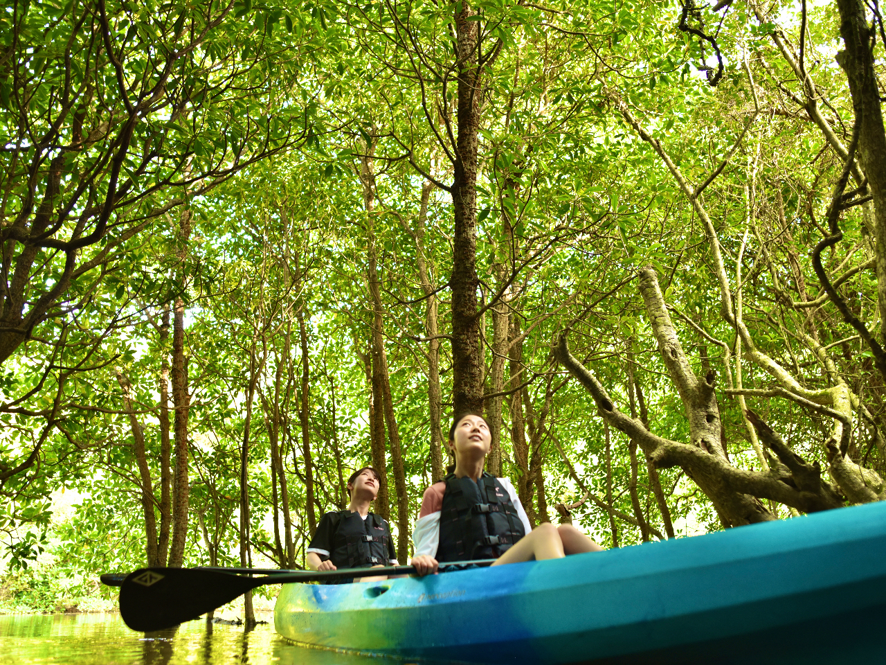 }O[u̖؉AłЂƂ₷݁