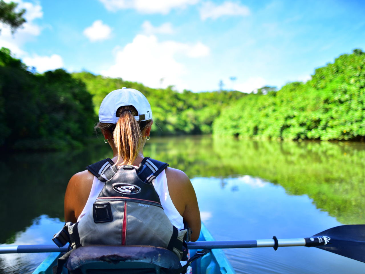 ̂悤Ȑʂ̏𑆂ōs܂B