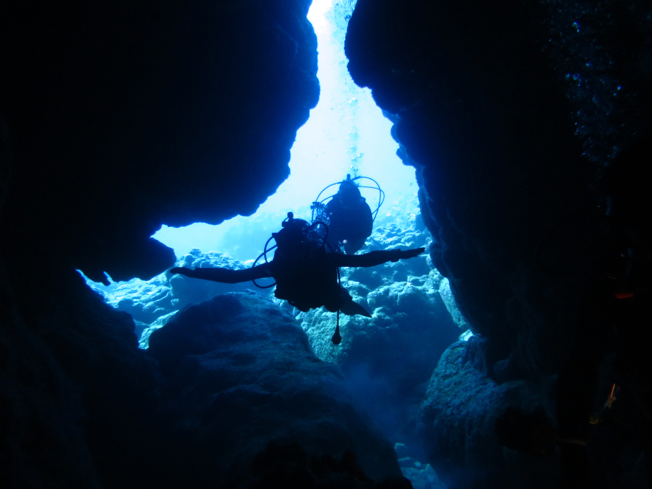 lCI쉮䉺|CgfGȌiF҂󂯂Ă܂I