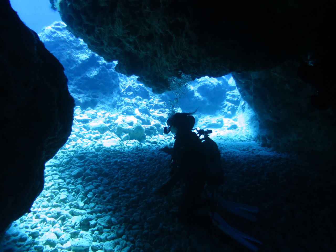 zIȒn`̐XB邱ƊԈႢȂI