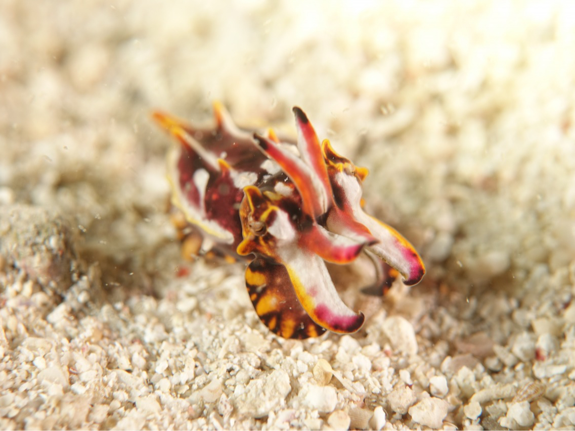 �^���ǂ���Ώo��邩���c