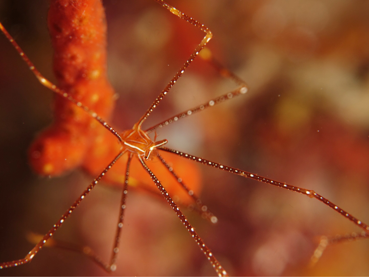 ���͓I�Ȑ��������肾������I