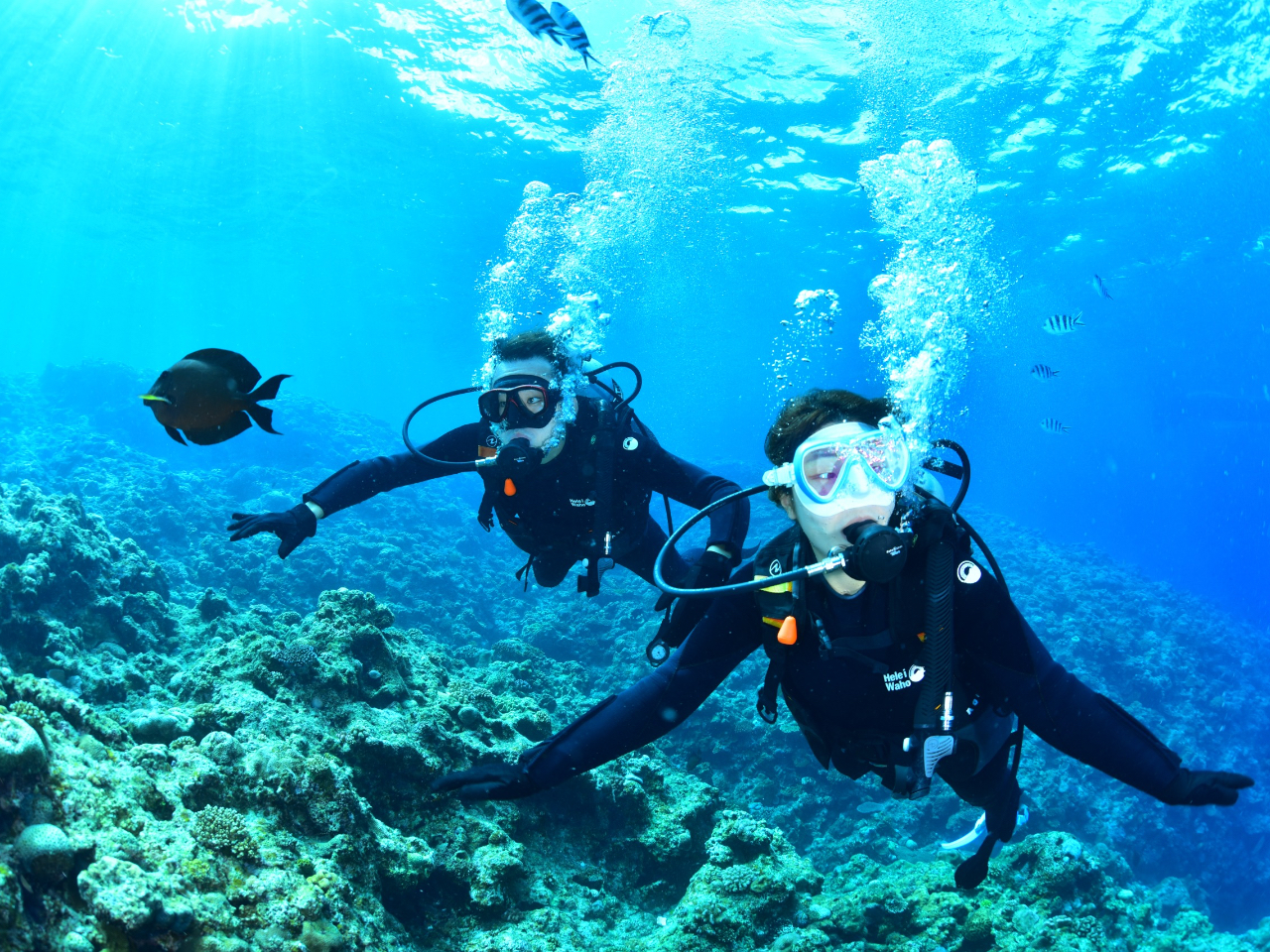 ~G聚啝vłɃ_Co[ɁI