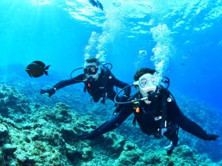 ★冬季限定★大幅割引プランでお得にダイバーに!