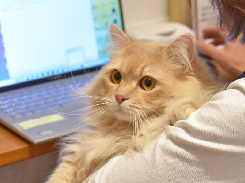 ���̃R���[�L���O�X�y�[�X�ł́A�L�ƗV�Ԃ��Ƃ��ł��܂��B �ꑧ�������Ƃ��́A�L�ƗV��Ń����b�N�X�����܂���