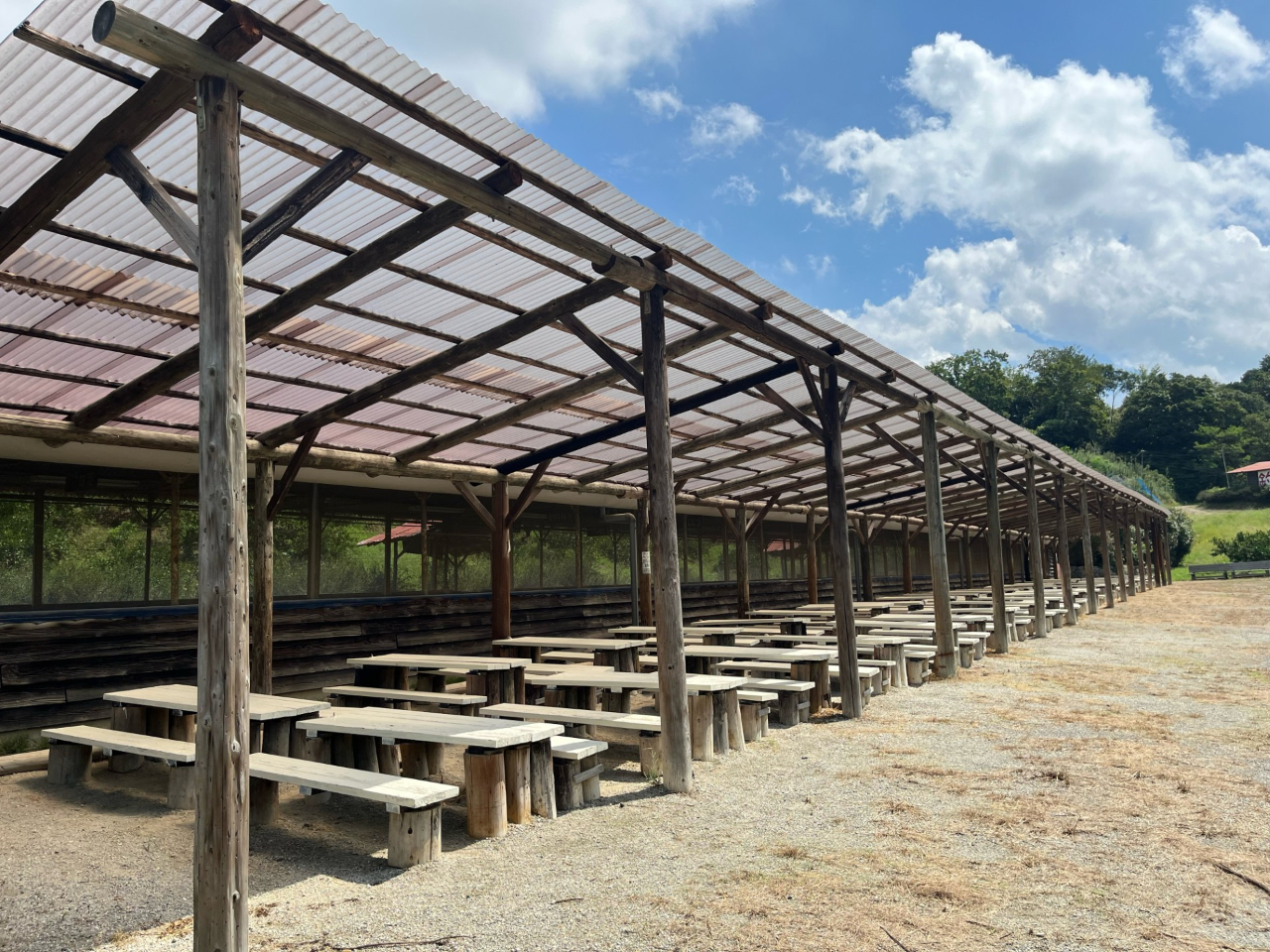 BBQ�ꉮ���t���e���X