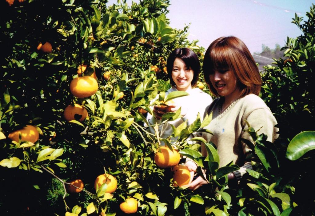 �F�l�̂��z�������҂����Ă���܂��I