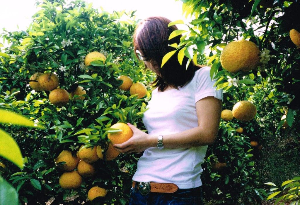 �������Ɖ񂹂ΊȒP�Ɏ��n�ł��܂��I