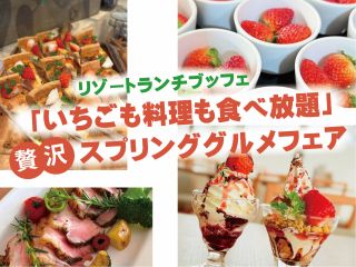 いちごも料理も食べ放題!贅沢スプリンググルメフェア