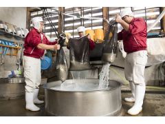 10月〜4月の間に来ていただくと、目の前で酒造りを見ることができます。写真は洗米作業風景です。