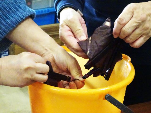 アカネ液の染めを鉄媒染で黒っぽく発色させます