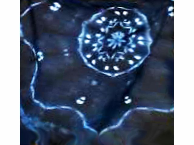 ����o�V�A�փS���A�Ȏ��A����΂��݂ōi��͗l��t����