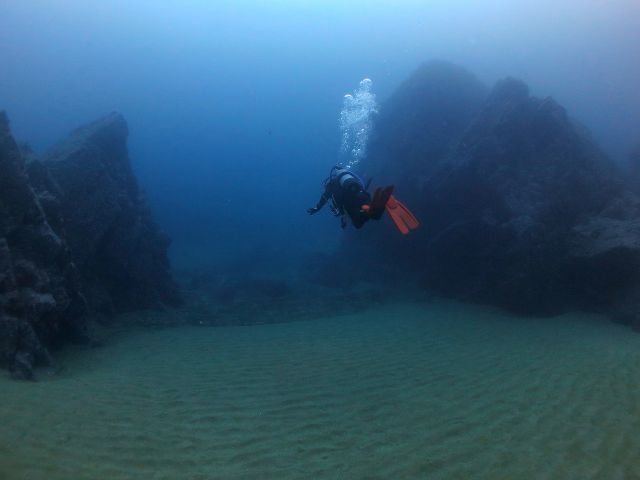 空を飛んでいるかのように海中遊泳