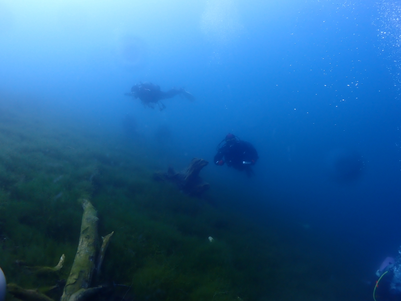 ł邩̂悤ɃANAE̒Vj