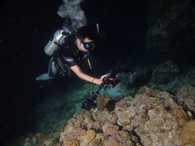 魚が眠っていて動かないから写真撮りやすいね