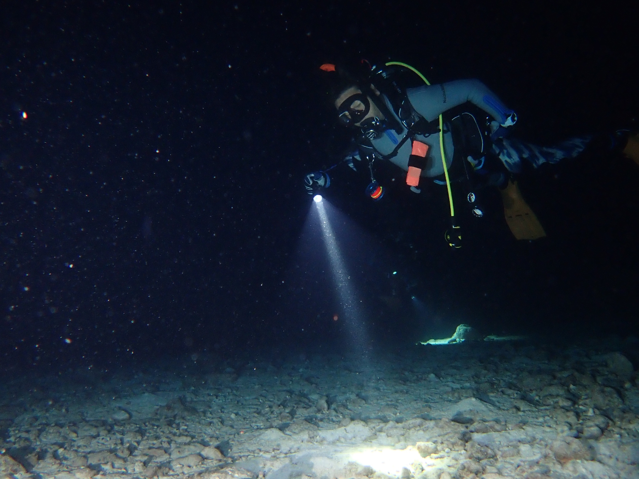 ȂCgƂ炵ȂT̂ĕ󂳂݂Ŋy