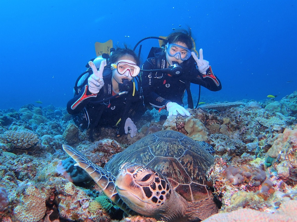 2lɃCg2lJɂ₷(^_-)-