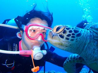 カメさんこんにちは