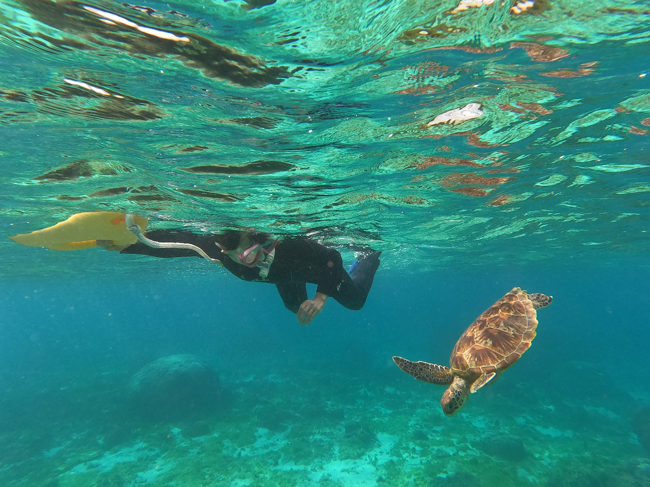 �߂��ŉj������(�܁ށ�)