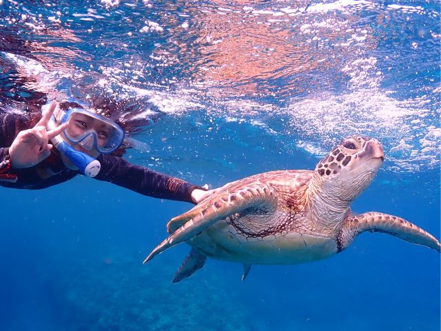 おすすめのカメさんに会えたねー!(^^)!触れそうなくらい近い