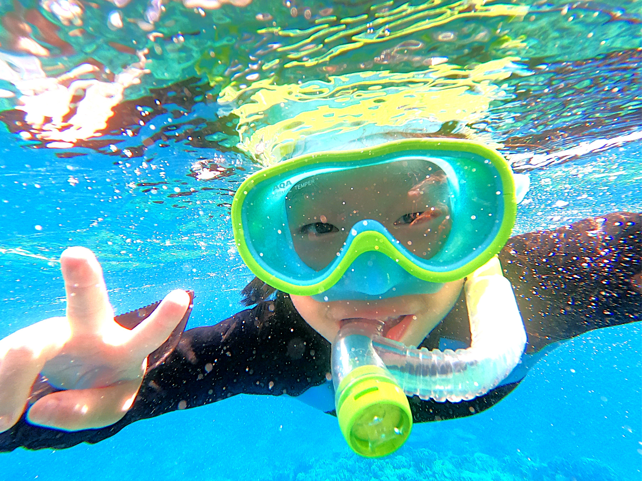 カメさん見れたあぁー(^^♪