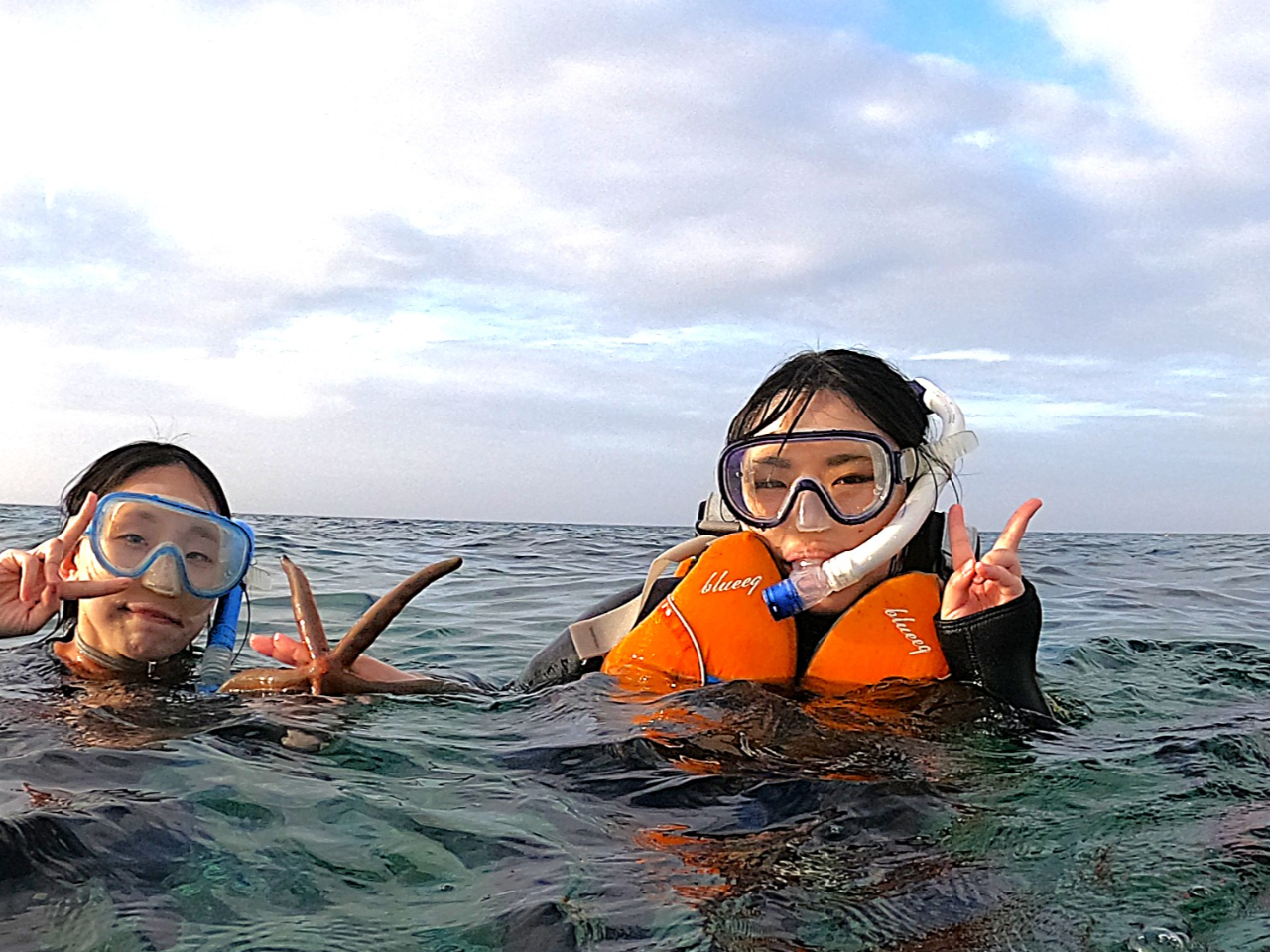 CtWPbg╂ւ邩AjɎMȂĂS(^^)/