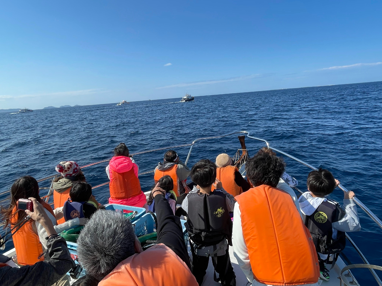 �D�񂩂�N�W���B�݂�ȂŌ�����Ɗ�������(^^)/