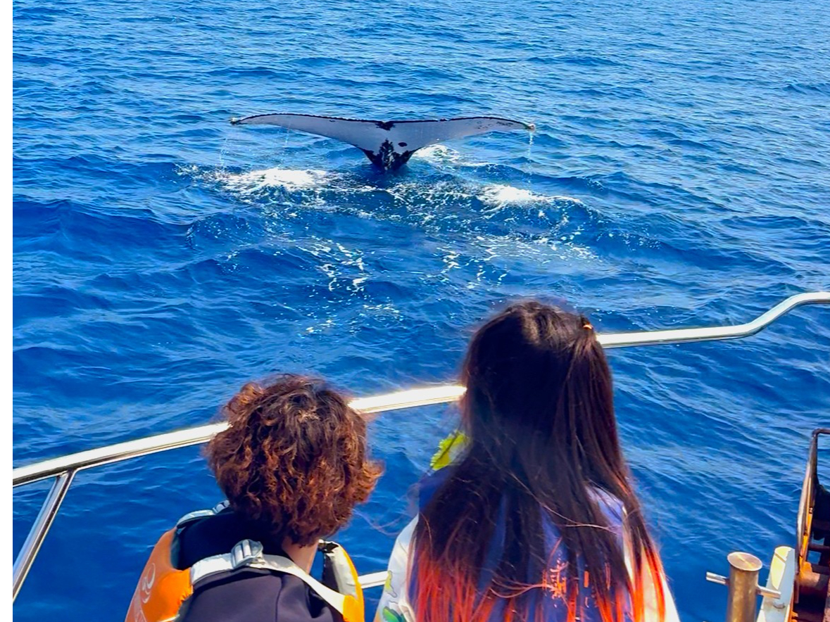 �D�̋߂��ɗ��Ă��ꂽ��(�܁ށ�)