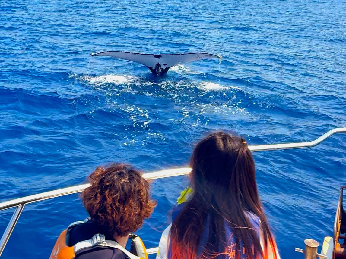 �[������Ƃ��̍s���i�t���[�N�A�b�v�j�Ƃ�����