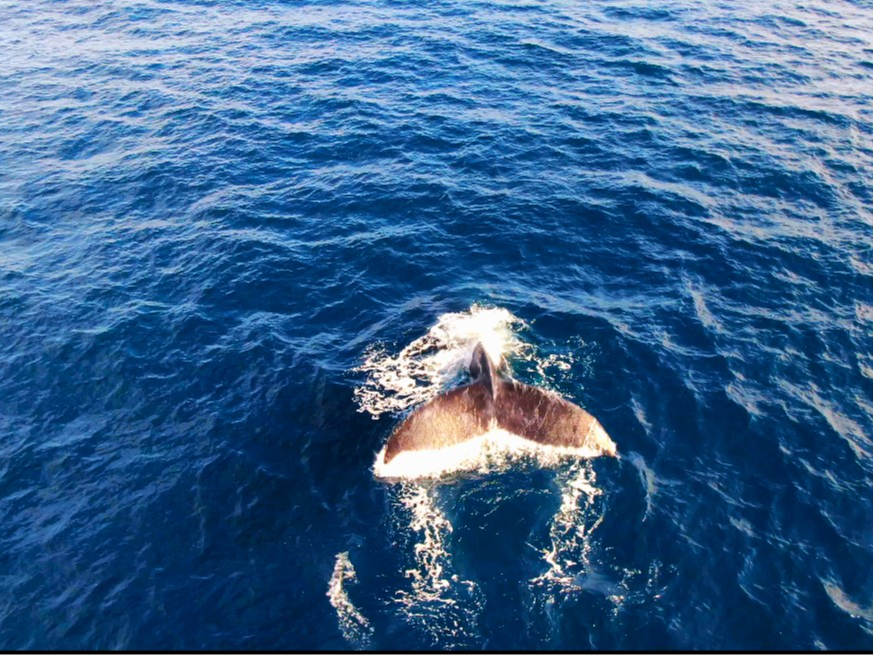 �ォ��B�����ʐ^�ł�